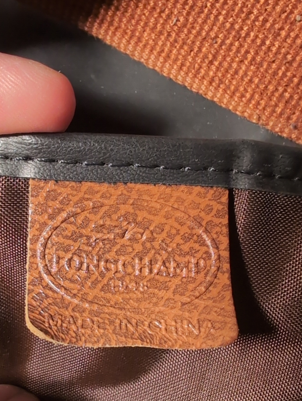 Longchamp Hobo Bag - Picture 12 of 14